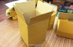Hop carton gia re 3