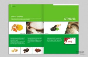 Thiet ke catalogue hanfimex 5